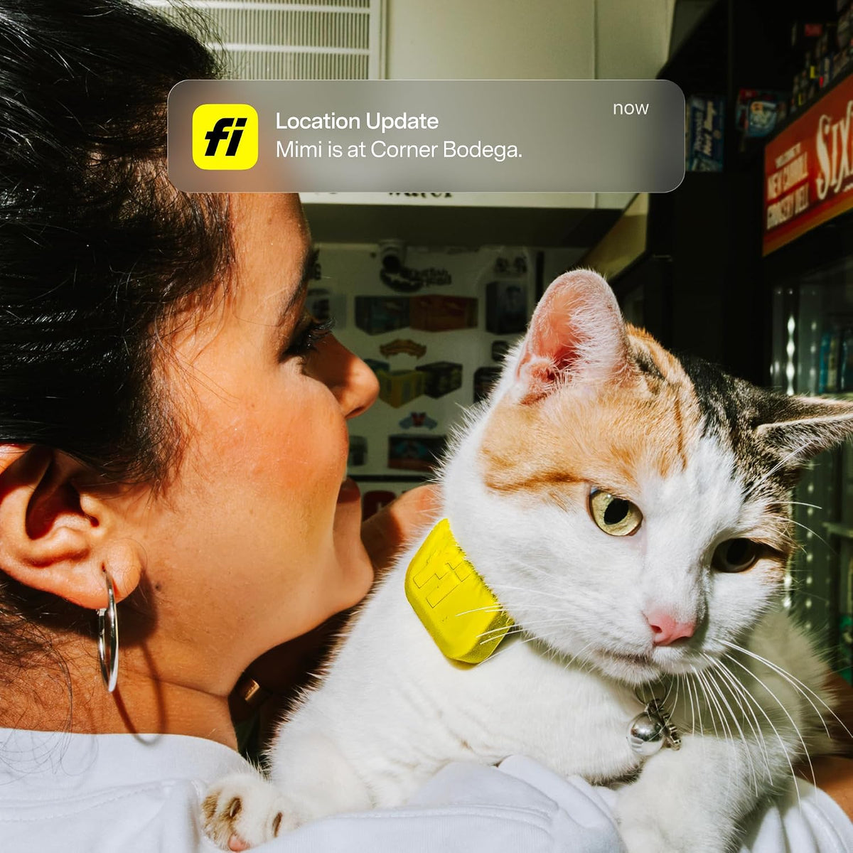 Fi Mini GPS Cat Tracker – Escape Alerts & Activity Tracking