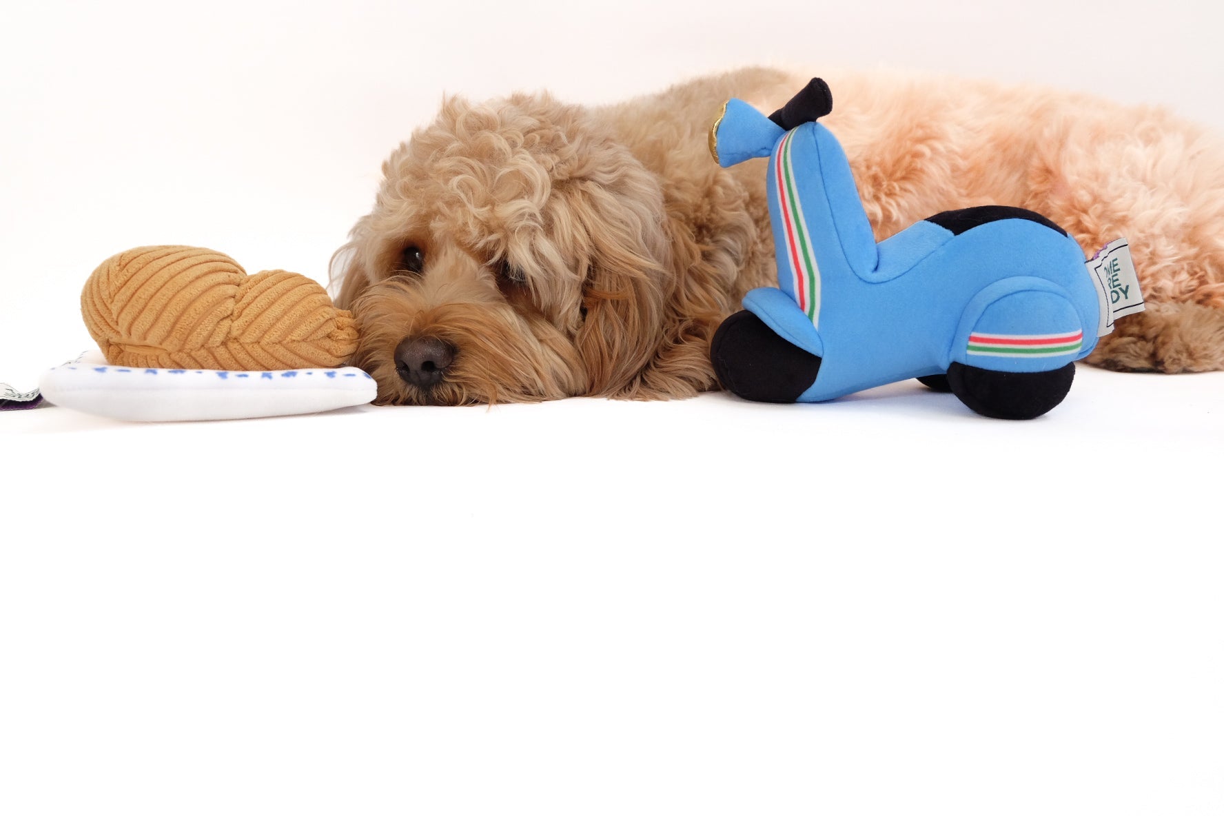 Come Here Buddy Scooter Pet Plush Toy