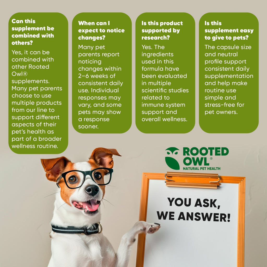 Rooted Owl® Mushroom Immune Support