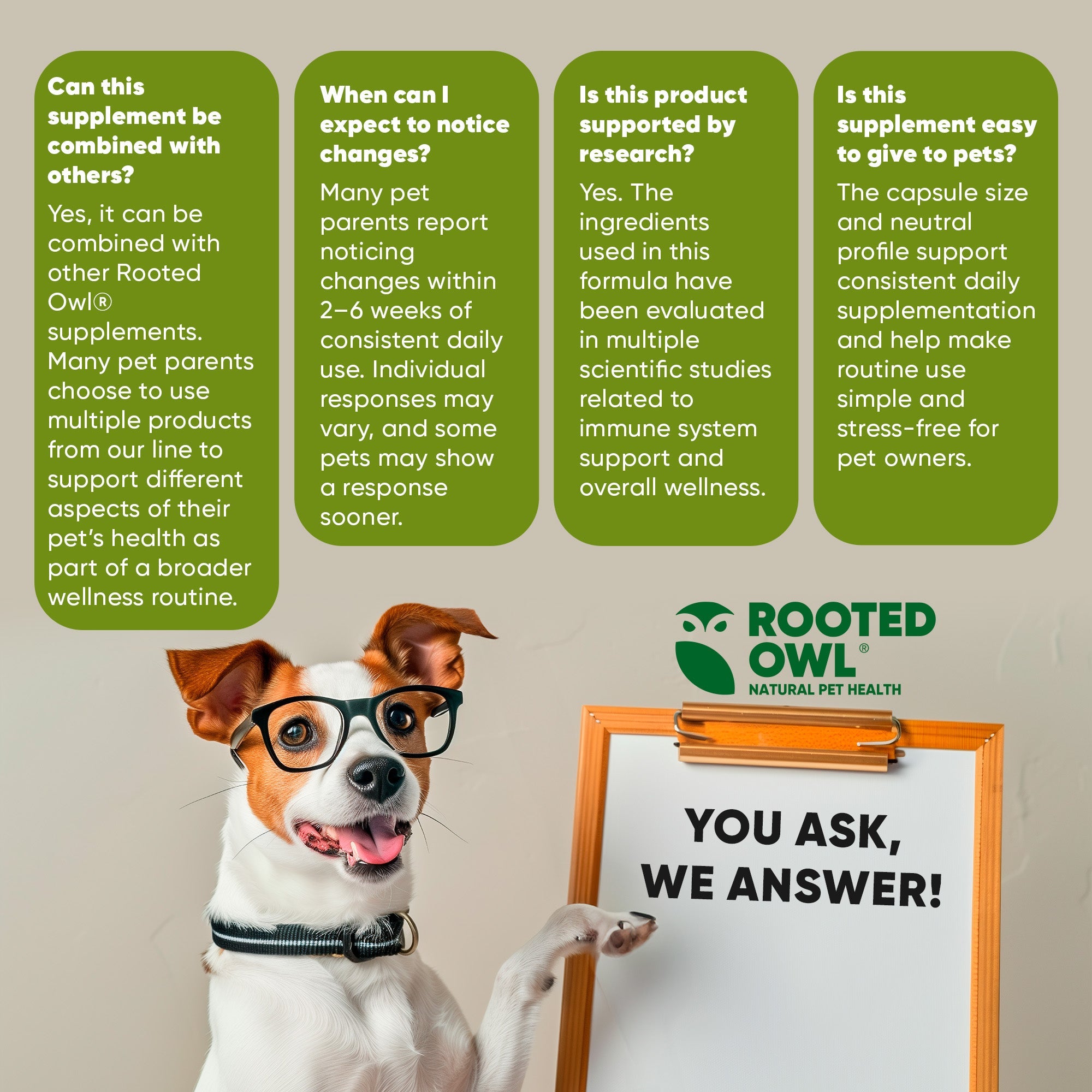 Rooted Owl® Mushroom Immune Support