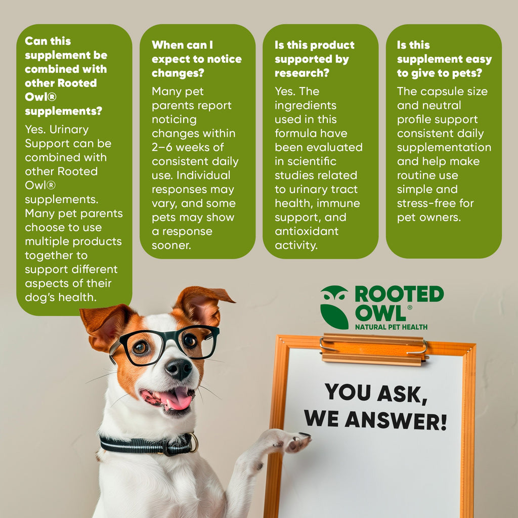 Rooted Owl® Urinary Support