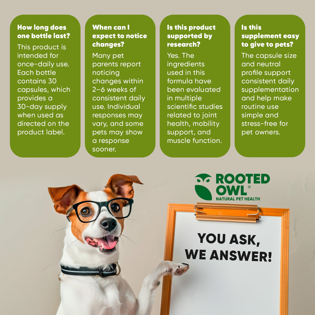 Rooted Owl® Joint & Muscle Health (Cats & Small Dogs)