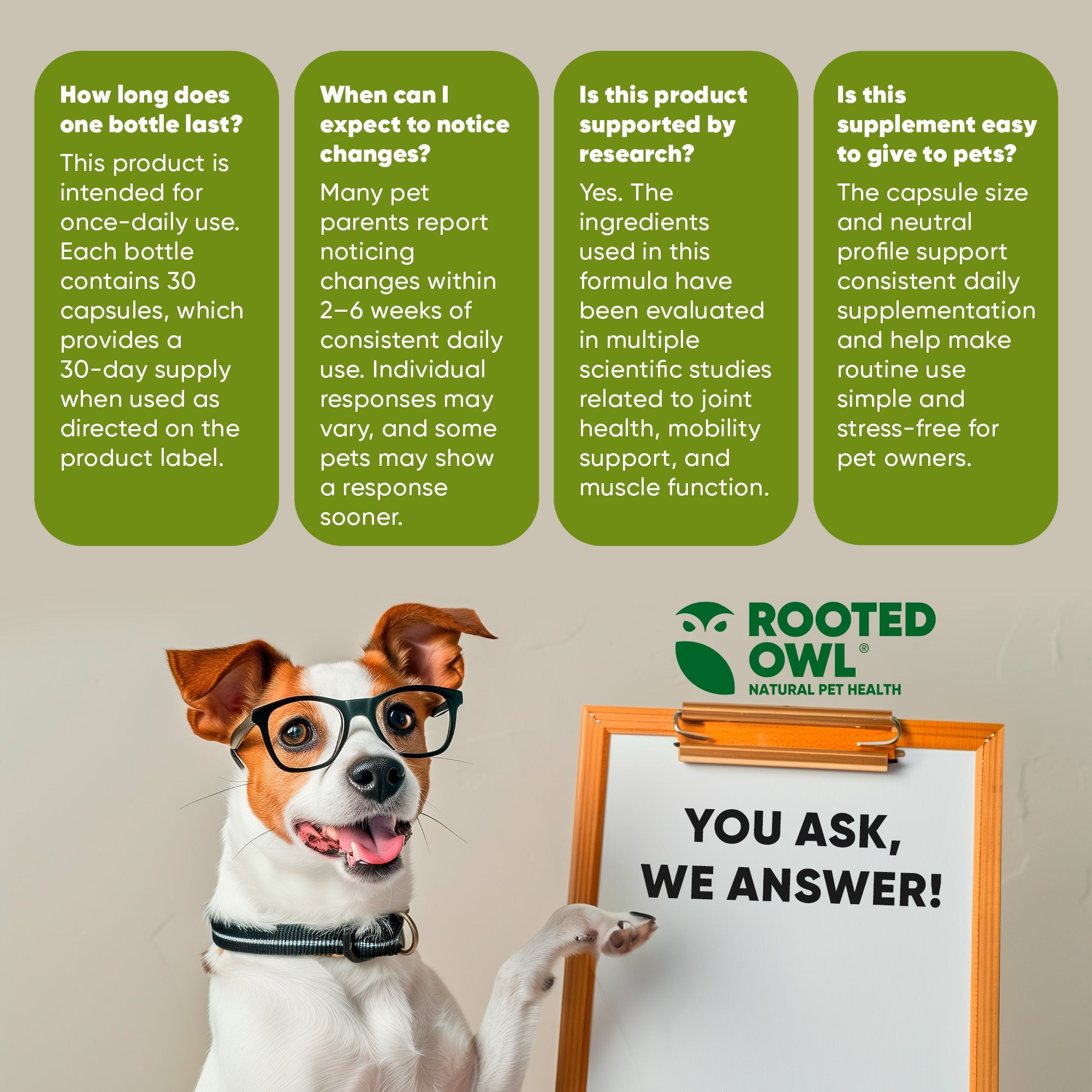 Rooted Owl® Joint & Muscle Health (Cats & Small Dogs)