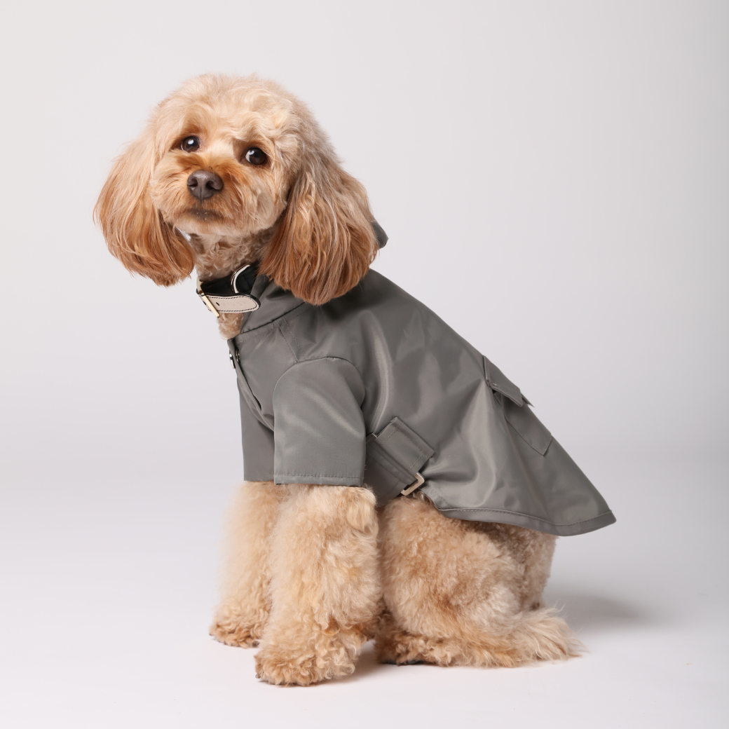 Pehom | Bowery Raincoat - Gray