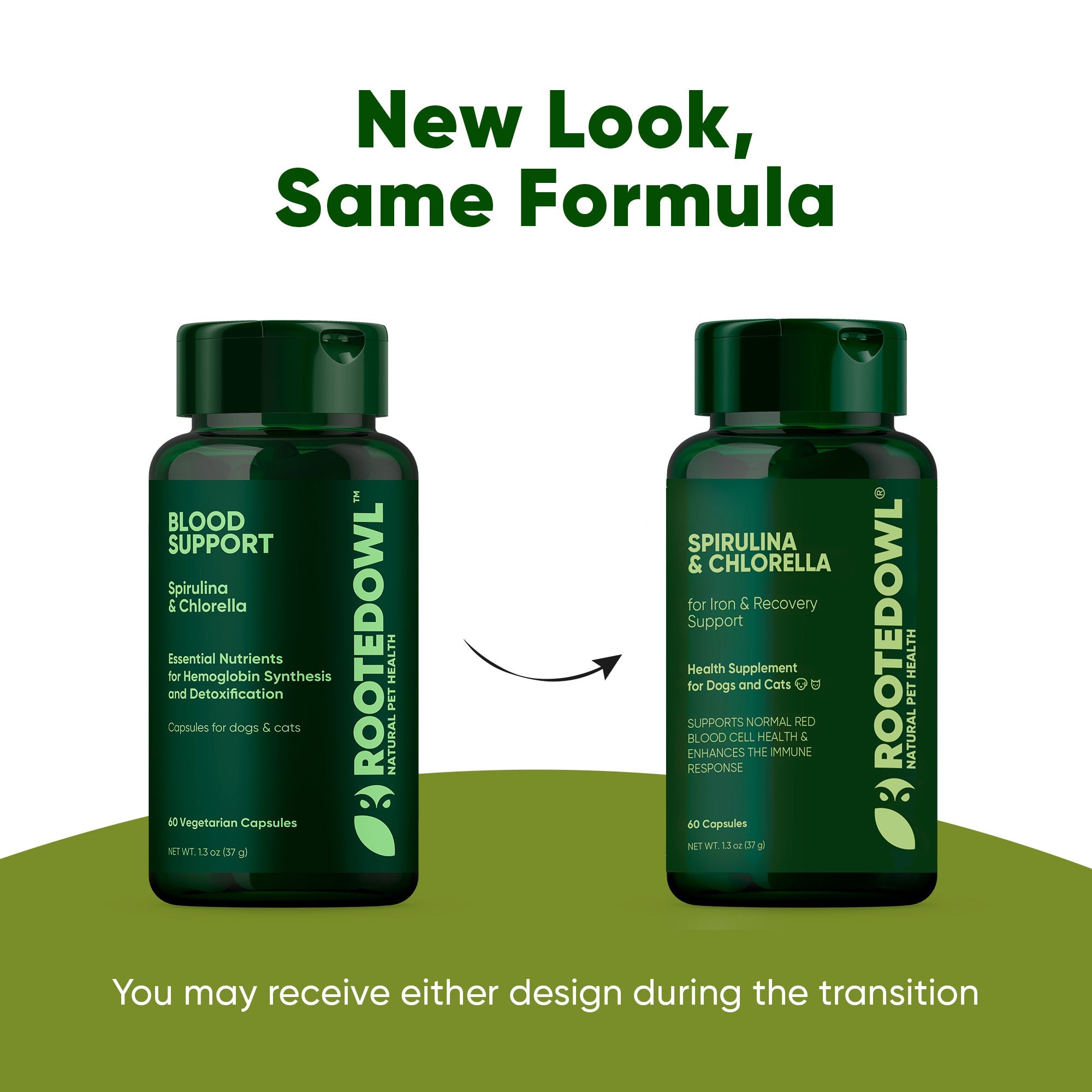 Rooted Owl® Spirulina & Chlorella