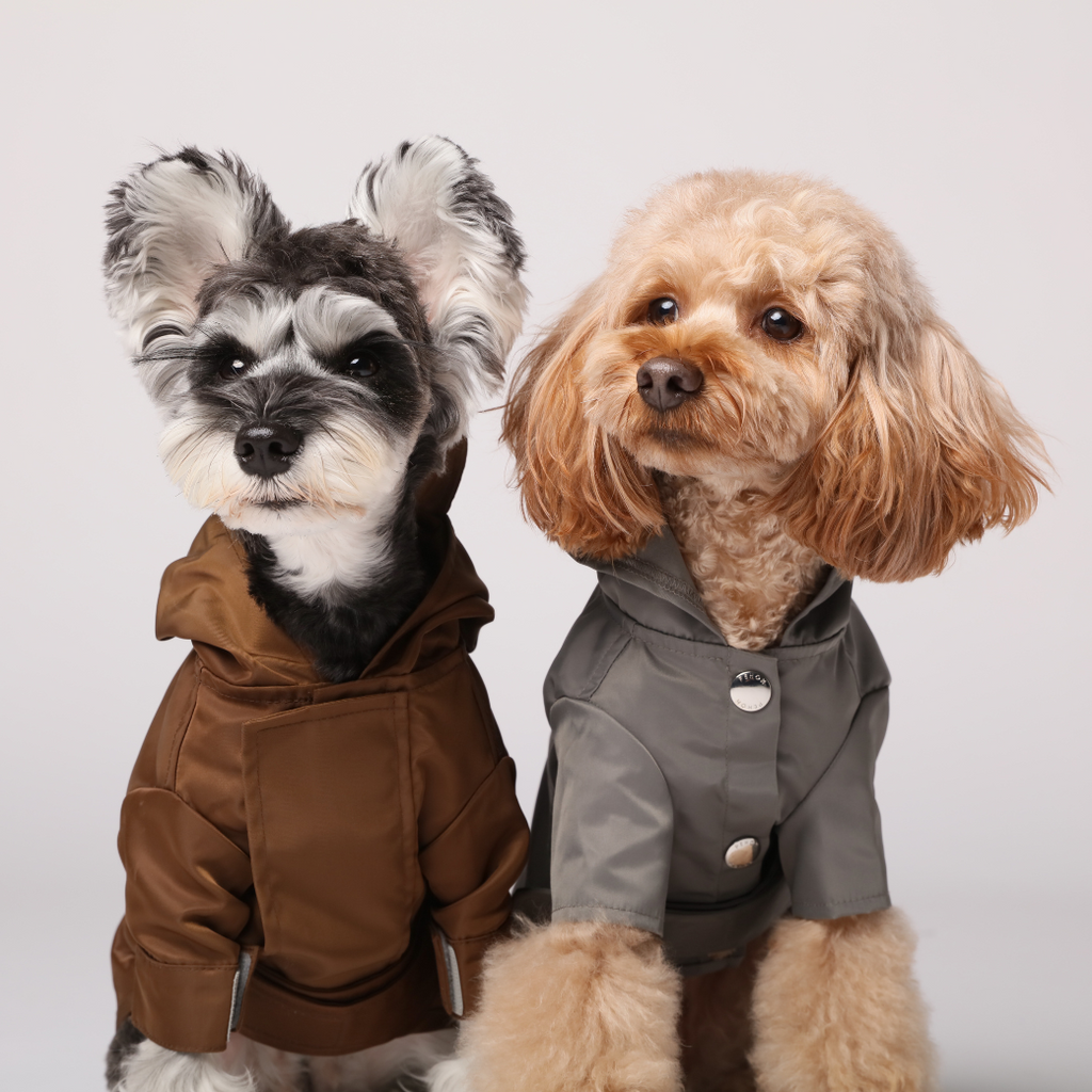 Pehom | Bowery Raincoat - Gray