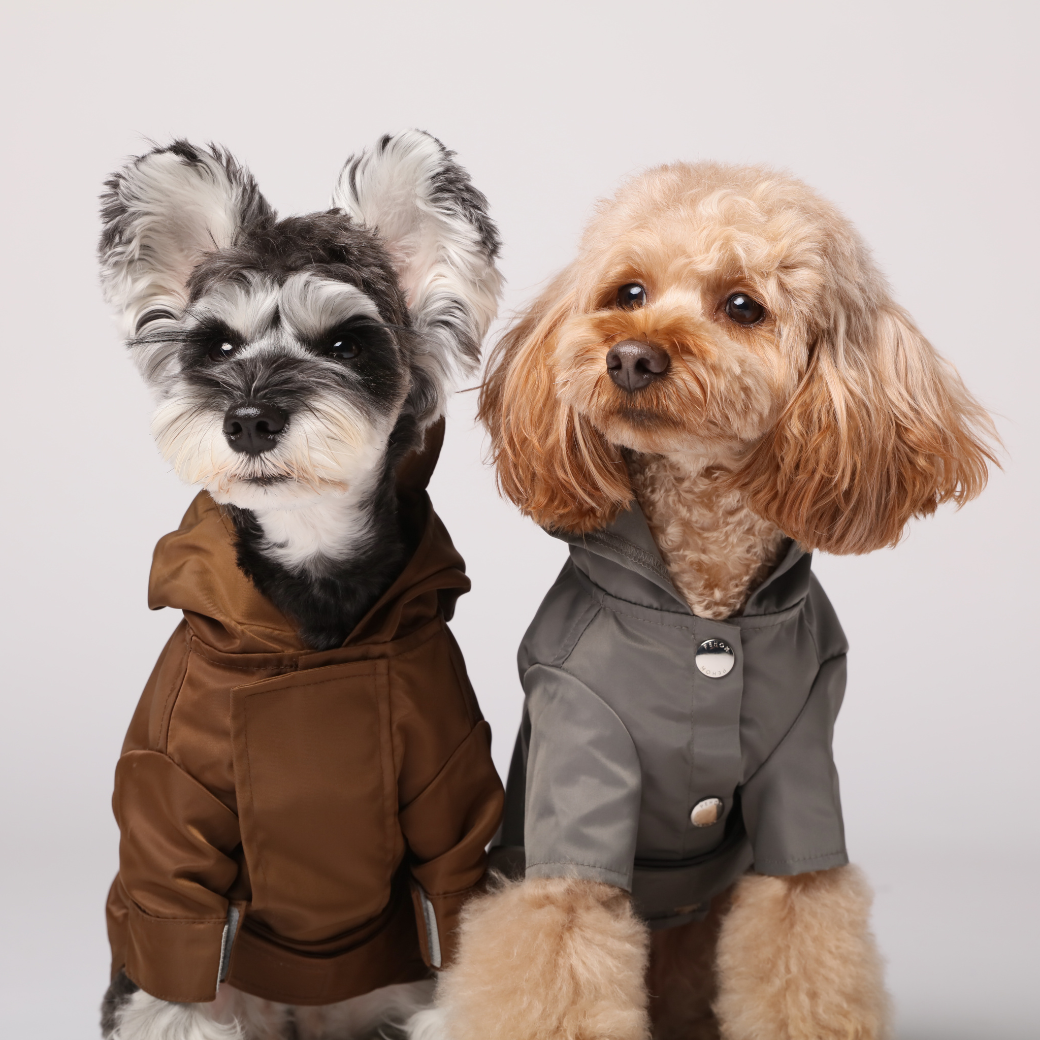 Pehom | Bowery Raincoat - Gray