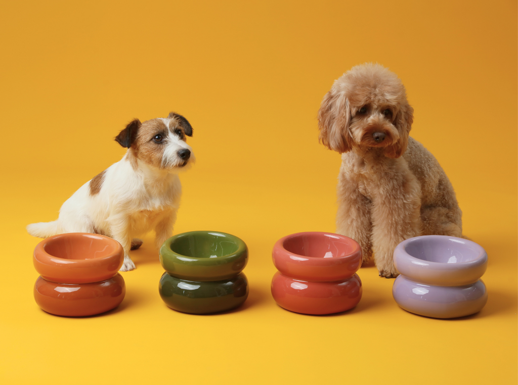 Pehom | Soufflé Pet Bowl - Frozen Blue