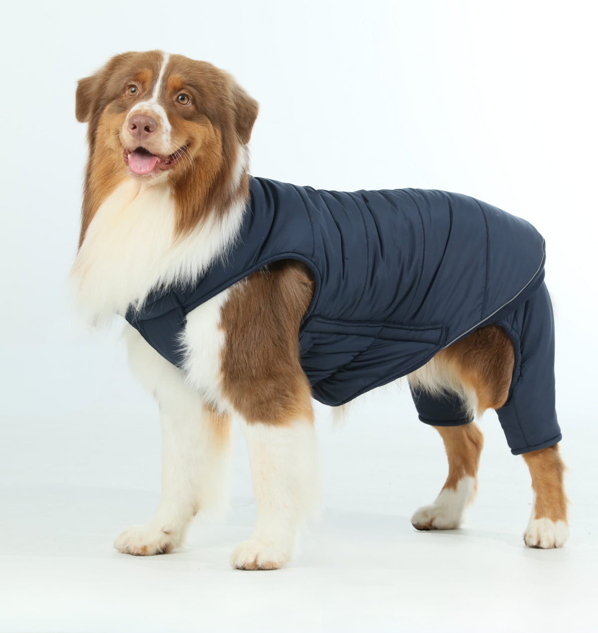 Pehom | Reversible Dog Vest Jacket - Blue