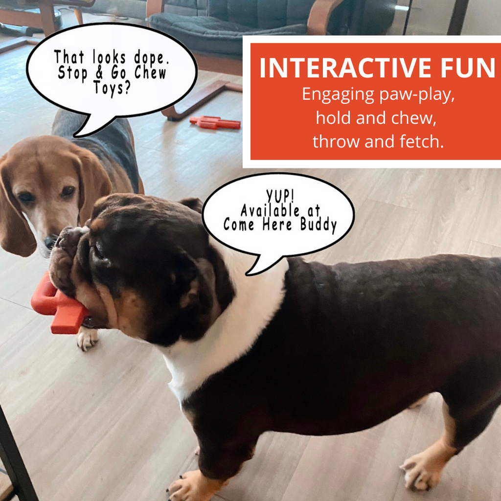 Come Here Buddy Dog Chew Toy Stop Signal