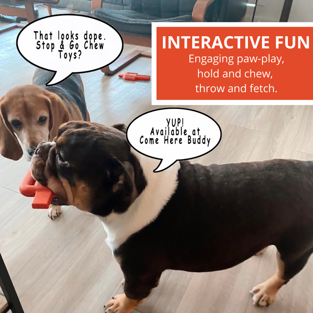 Come Here Buddy Dog Chew Toy Stop Signal