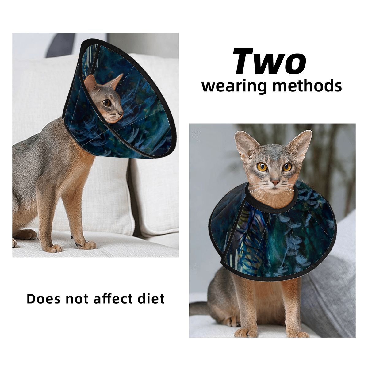 Sebastian & Clementine After-Glow Pet Elizabethan Collar