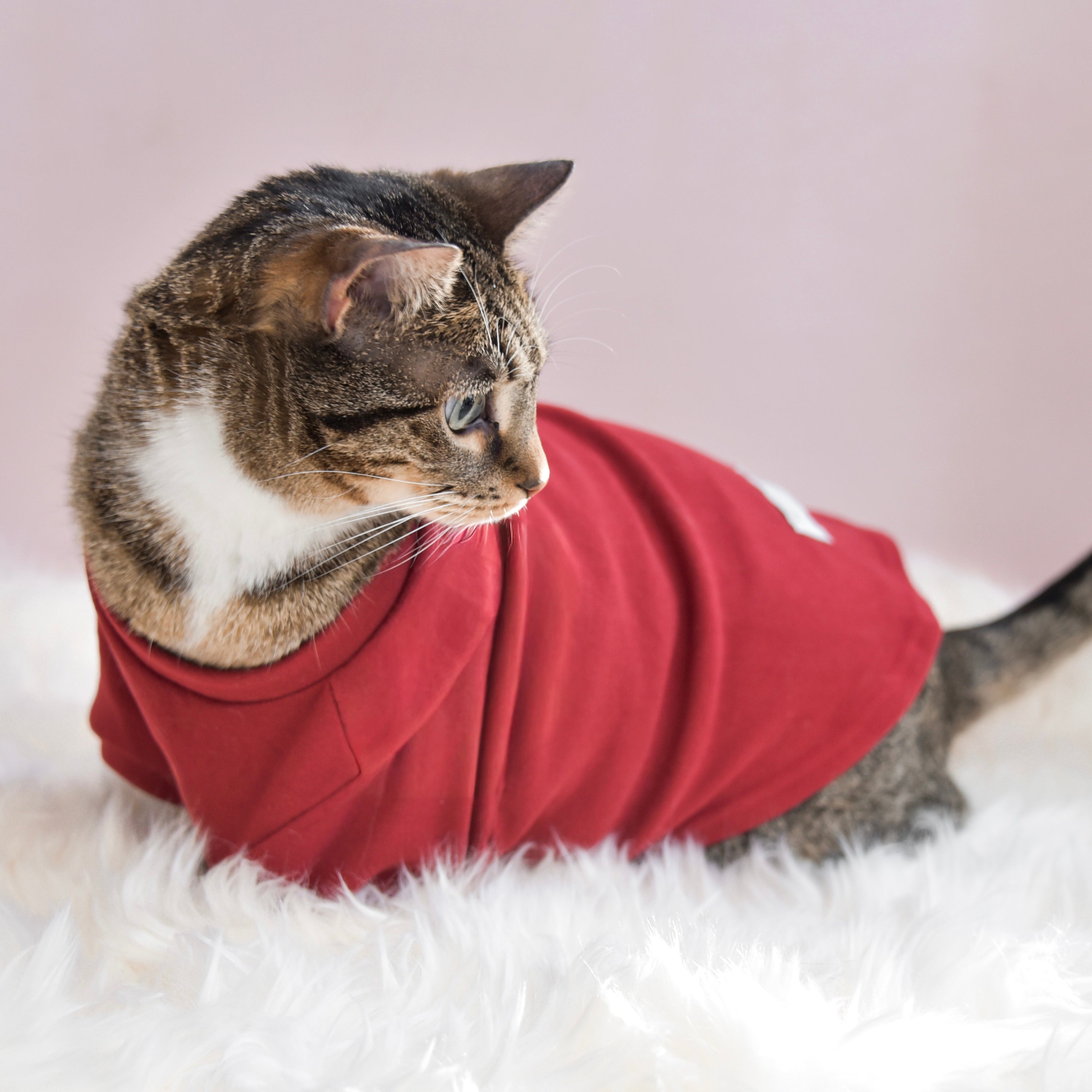 Fur Elise Mock Neck Shirt - Lucky