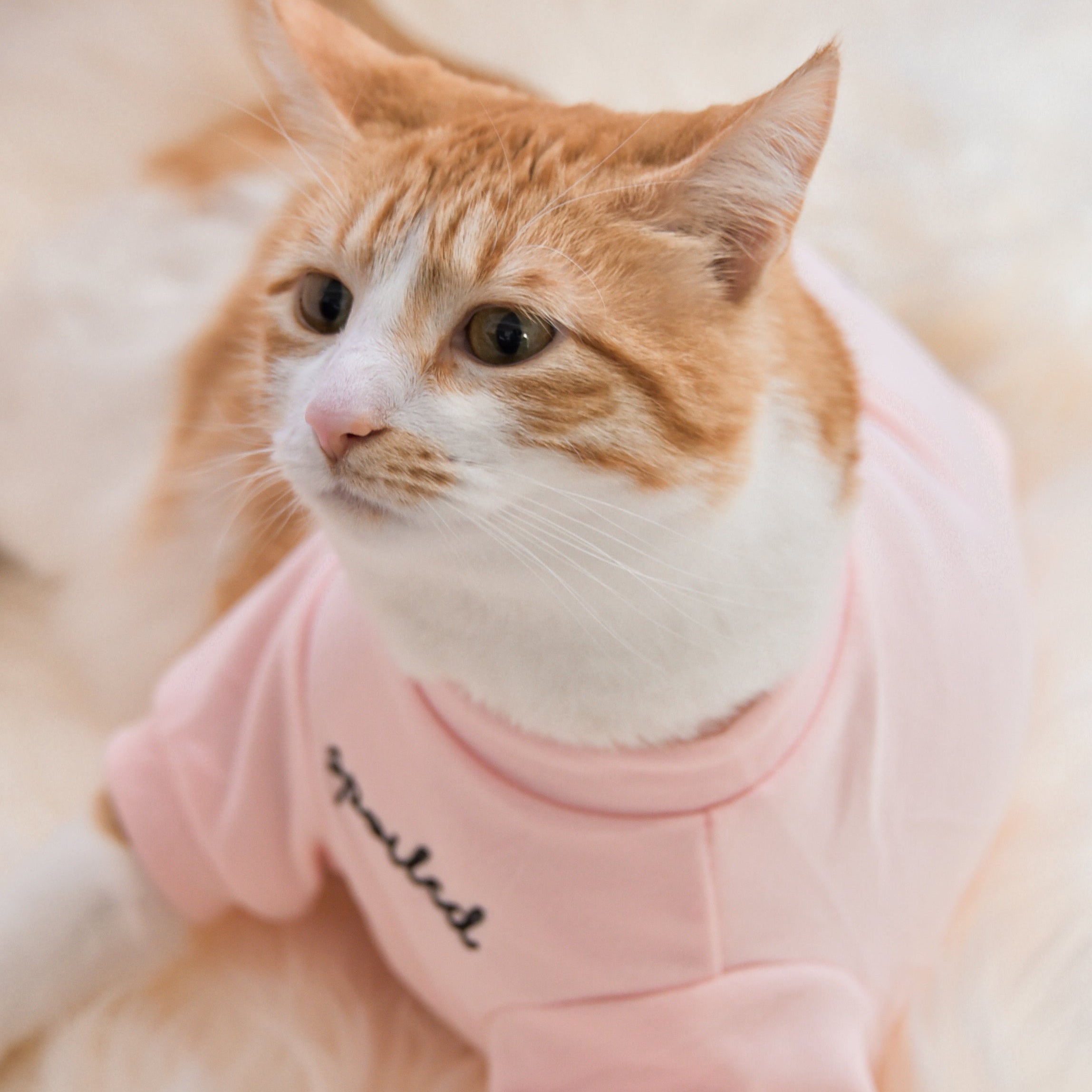 Fur Elise Mock Neck Shirt - Blush