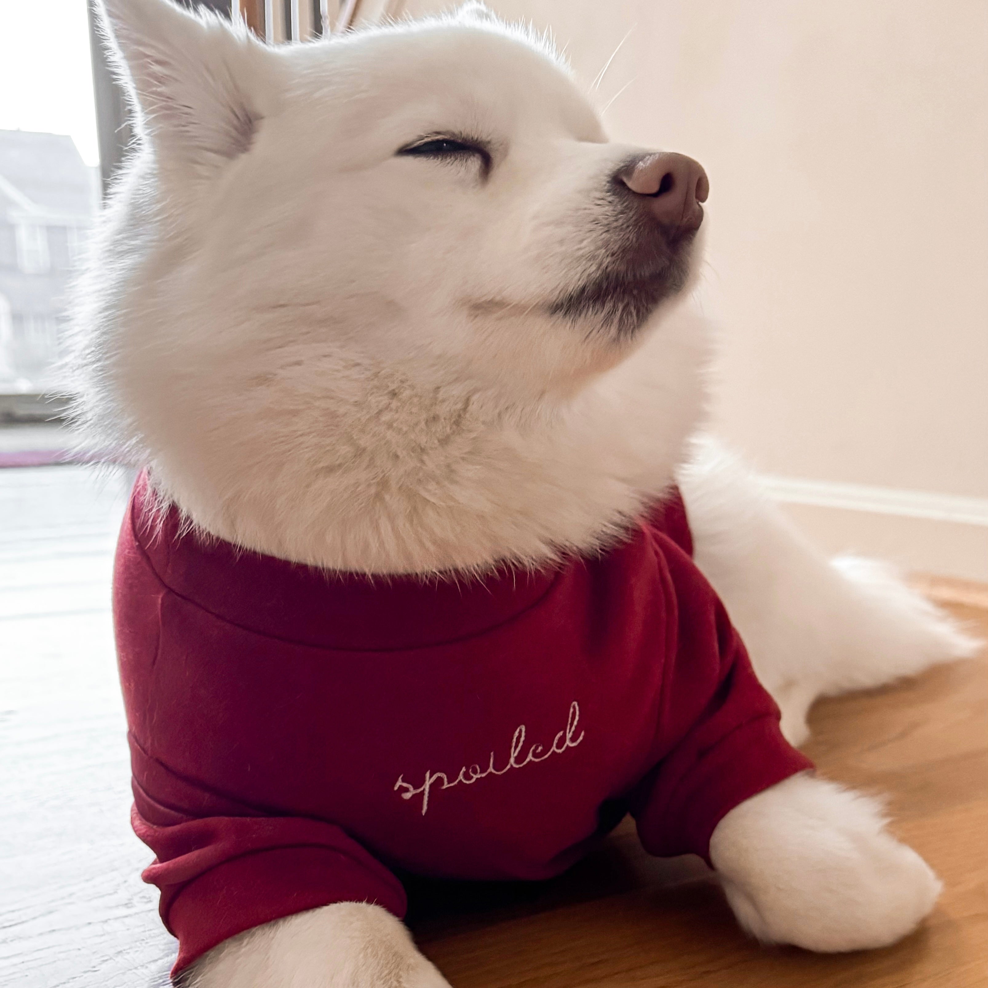 Fur Elise Mock Neck Shirt - Lucky