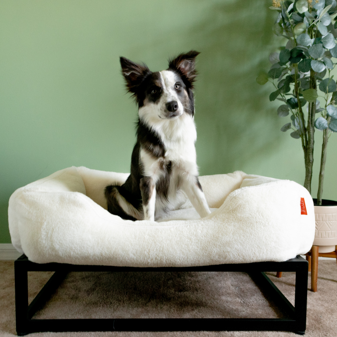 The FÜZI Pet Bed