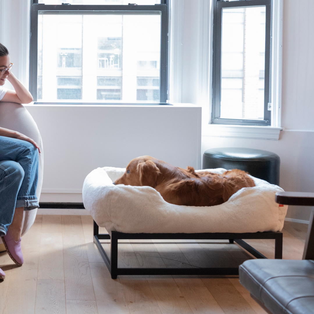 The FÜZI Pet Bed