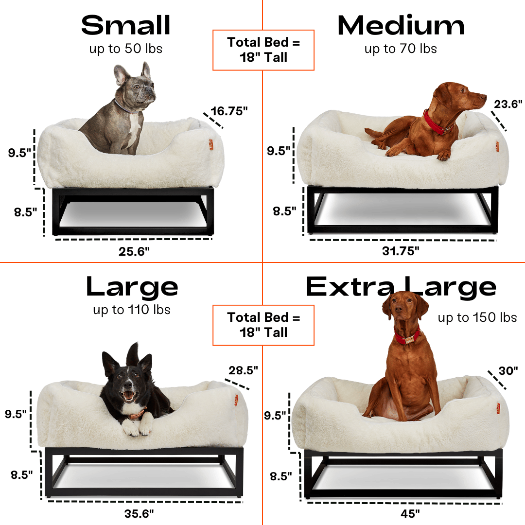 The FÜZI Pet Bed