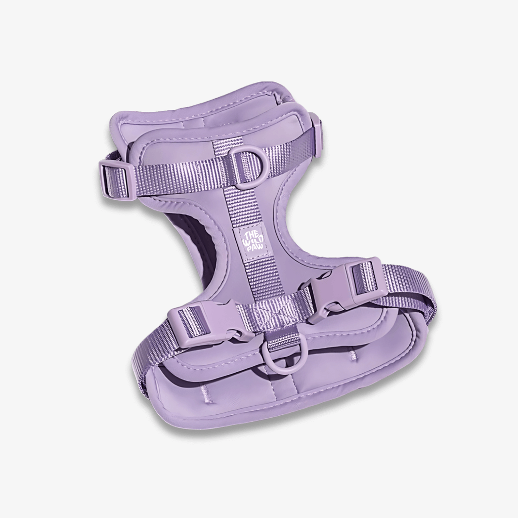 The Wild Paw High Purple AdventurePro Harness