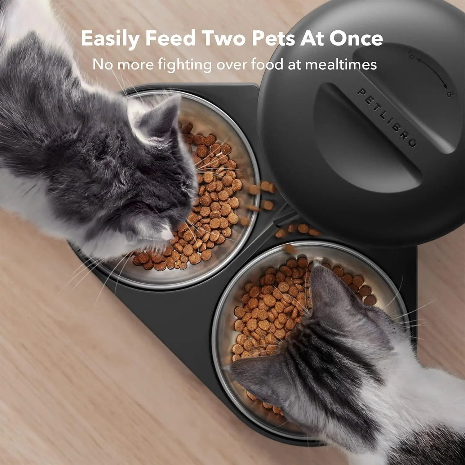 Automatic Cat Feeder with Timer for 2 Cats | Smart Dry Food Dispenser