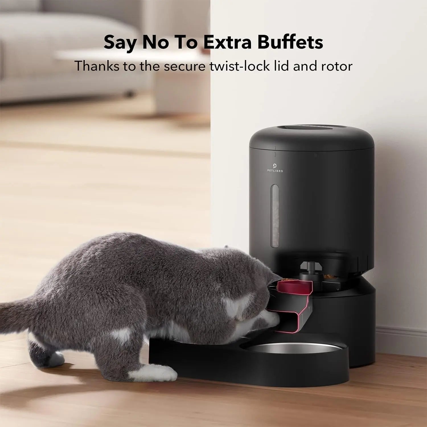 Automatic Cat Feeder with Timer for 2 Cats | Smart Dry Food Dispenser