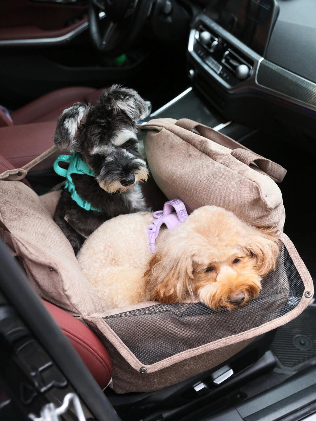 Pehom | Puff Guard Dog Car Seat - Blue