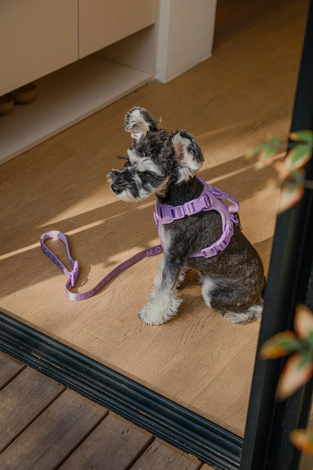 Pehom | No Pull Active Pet Harness - Mint Purple