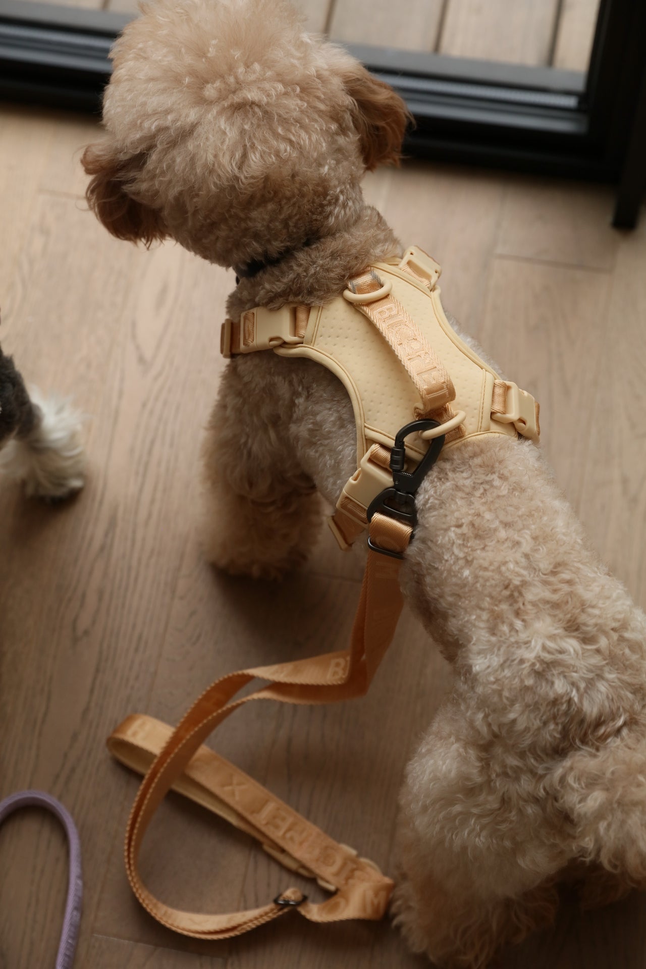 Pehom | No Pull Active Pet Harness - Apricot