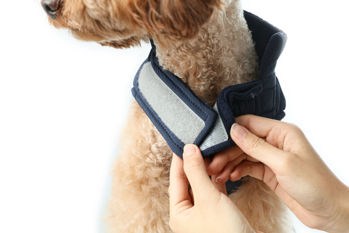 Pehom | Reversible Dog Vest Jacket - Blue