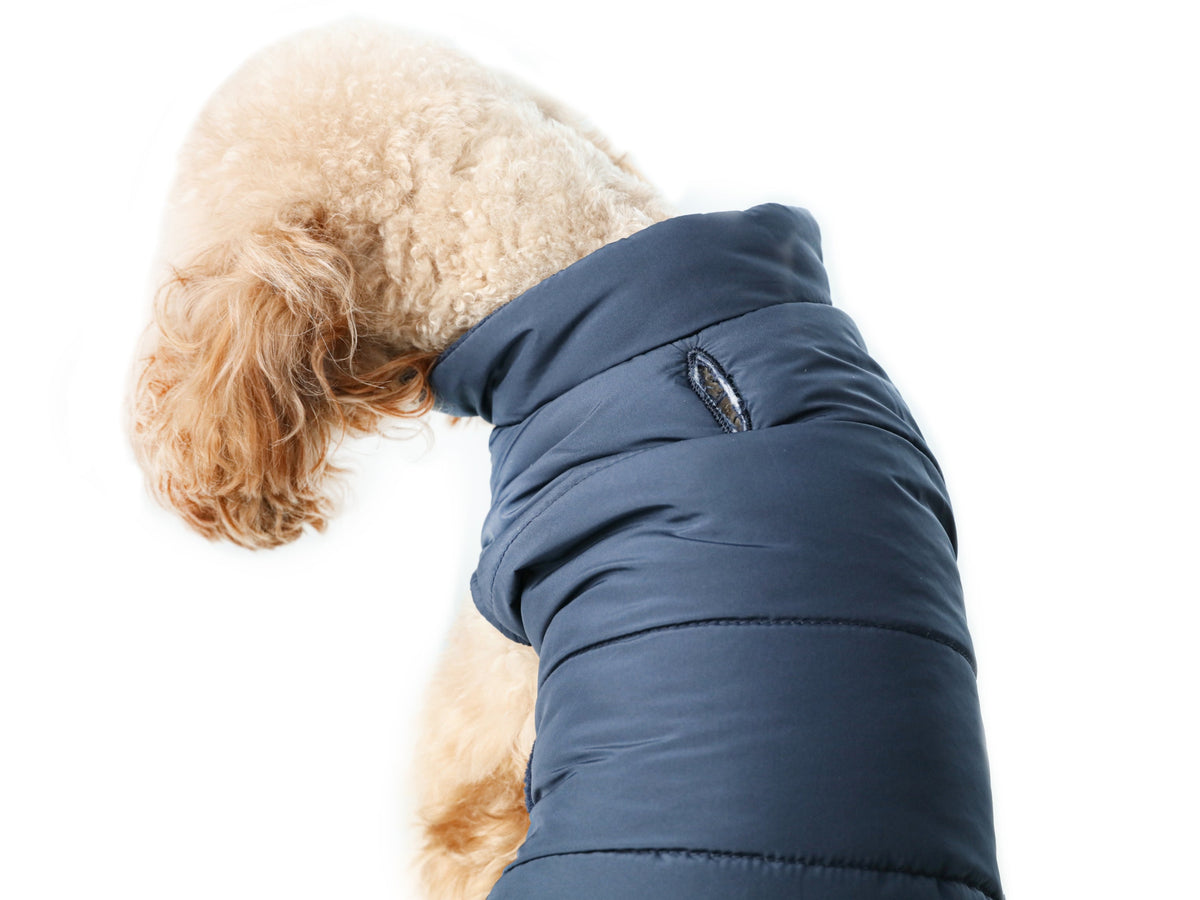 Pehom | Reversible Dog Vest Jacket - Red