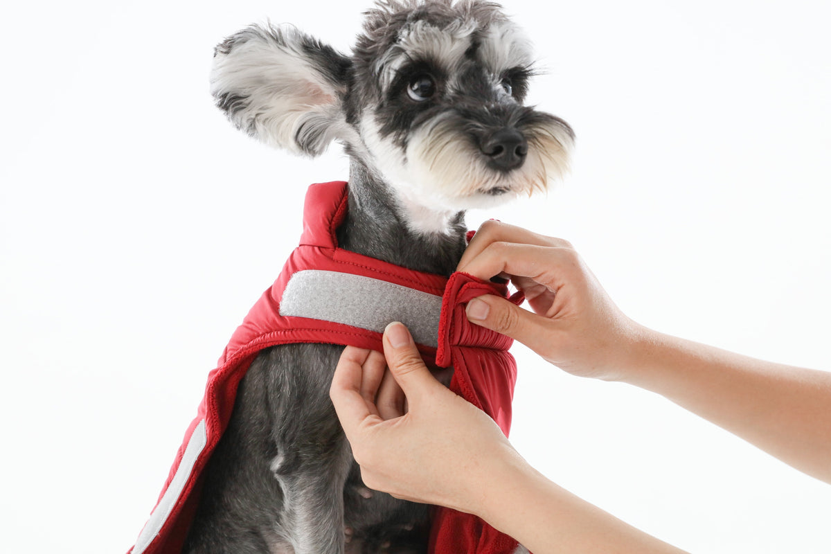 Pehom | Reversible Dog Vest Jacket - Red