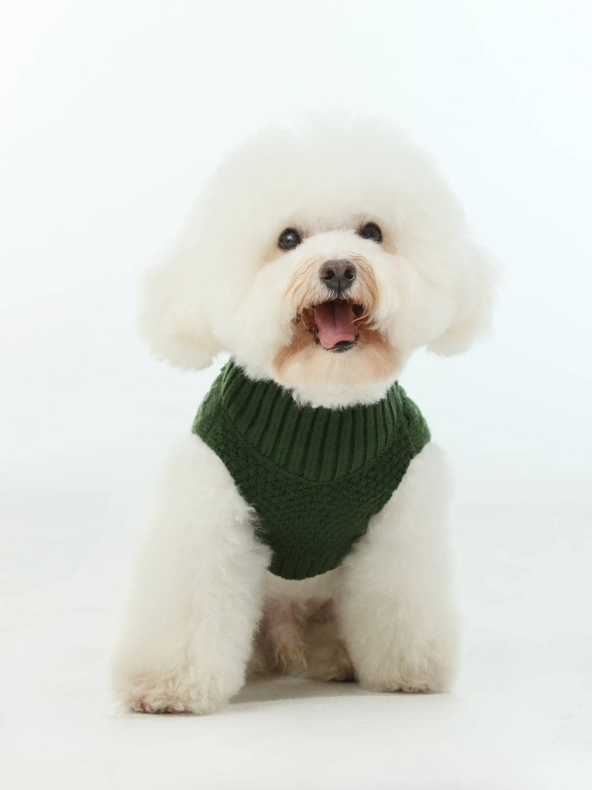 Pehom | Pet Sweater Vest - Green