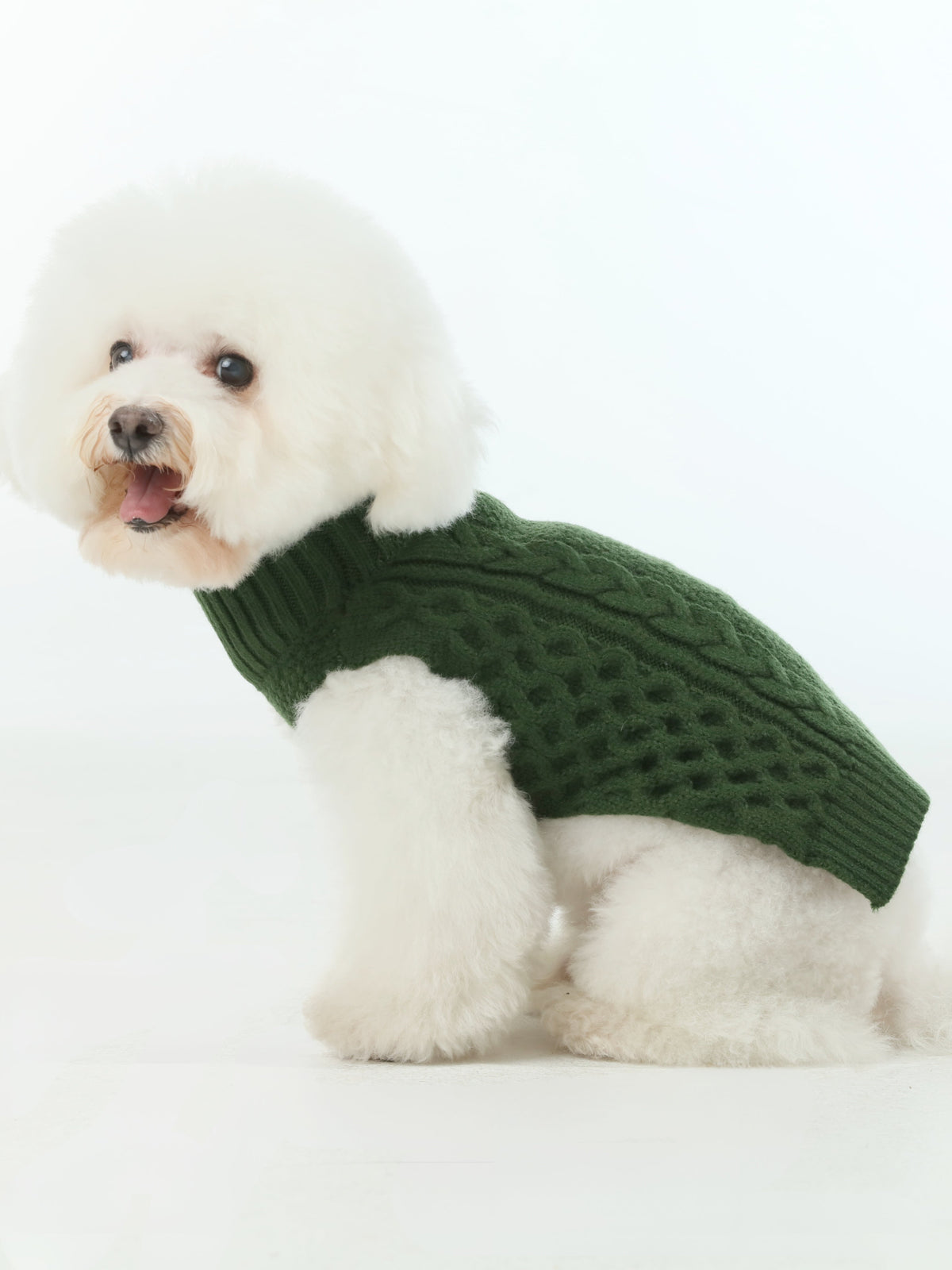 Pehom | Pet Sweater Vest - Green