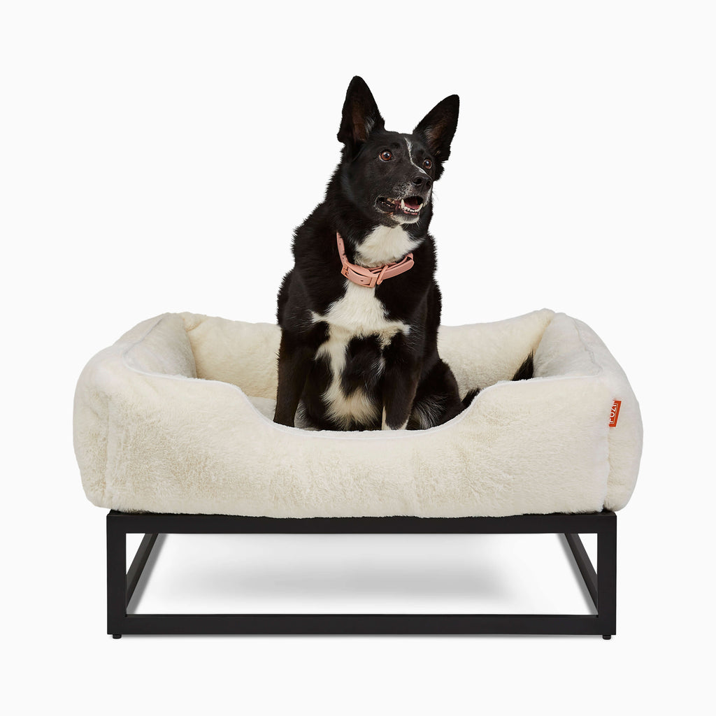 The FÜZI Pet Bed