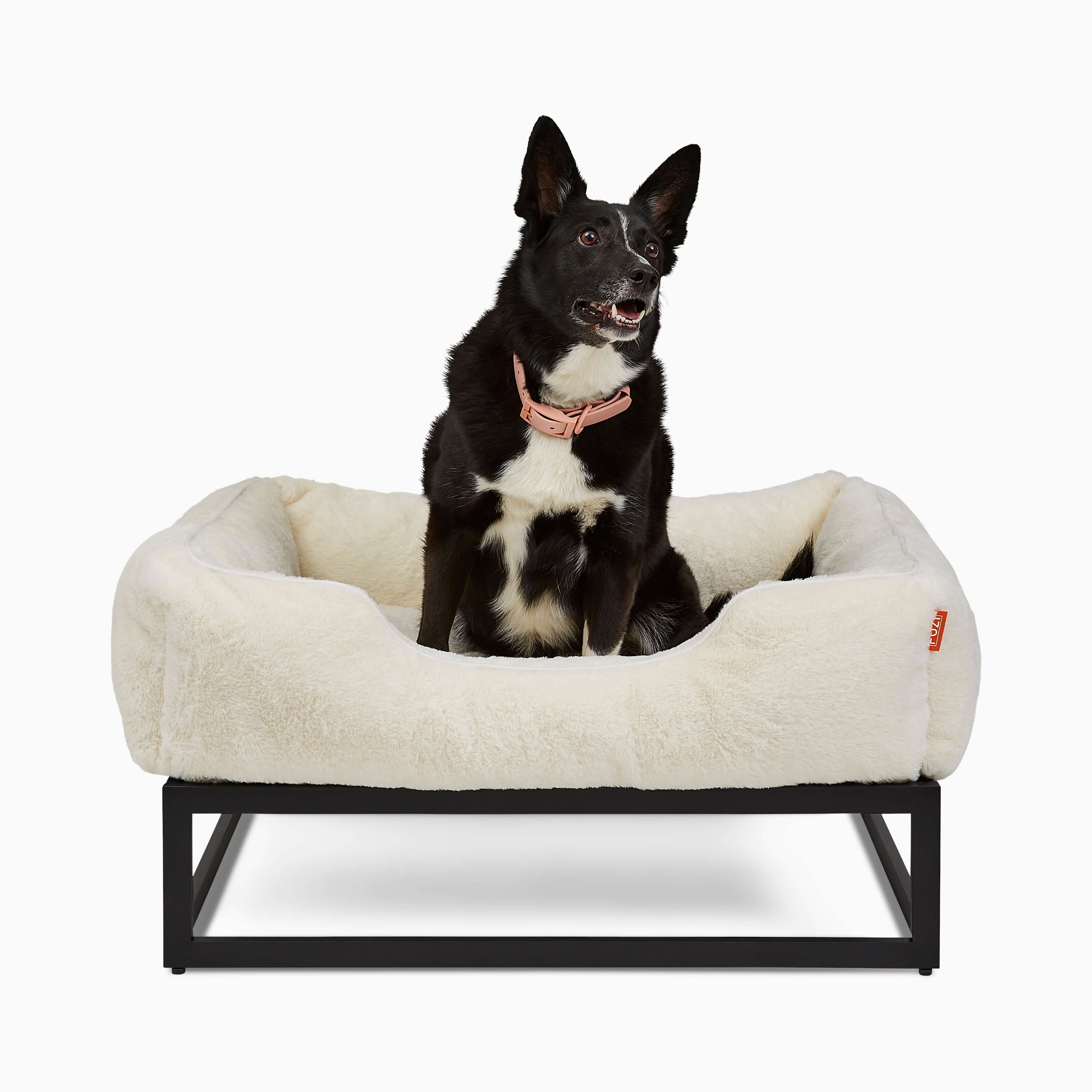 The FÜZI Pet Bed