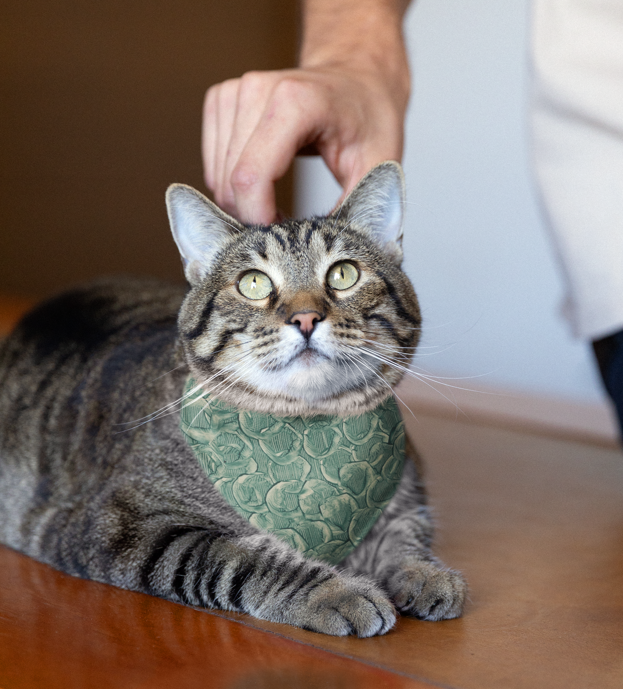 Sebastian & Clementine Vintage Collection Bandana Collar for Dogs and Cats