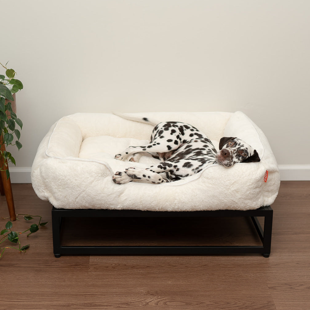 The FÜZI Pet Bed