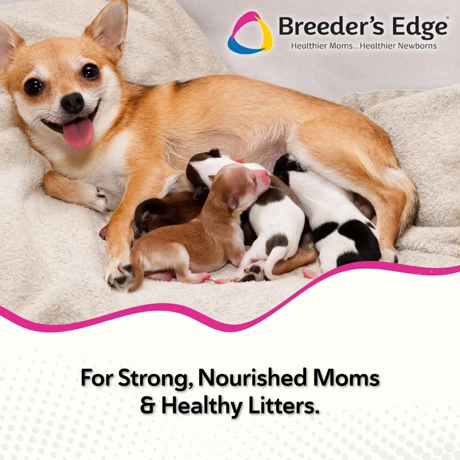 Postnatal Soft Chews for Lactating Dogs & Cats, Breeder Support