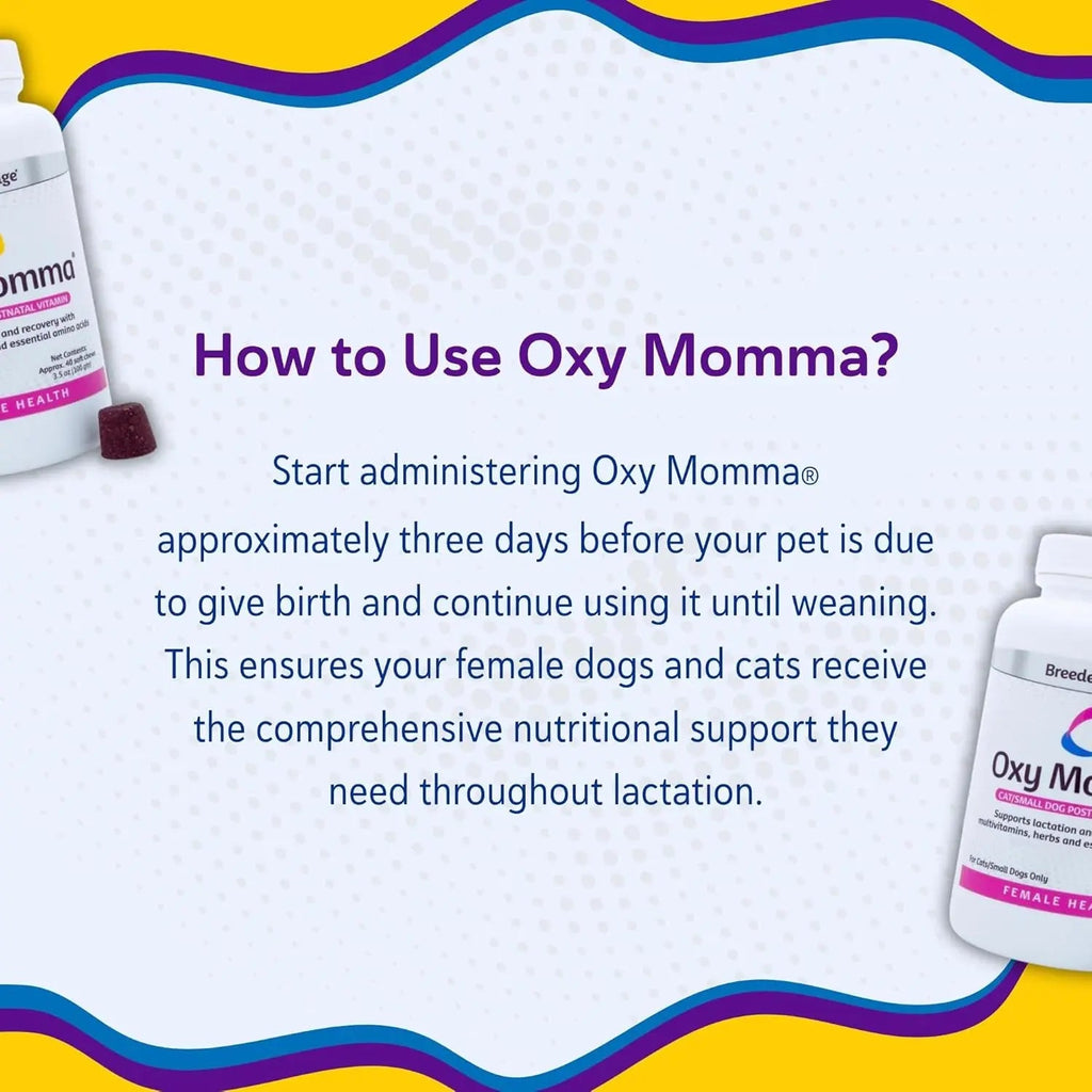 Postnatal Soft Chews for Lactating Dogs & Cats, Breeder Support