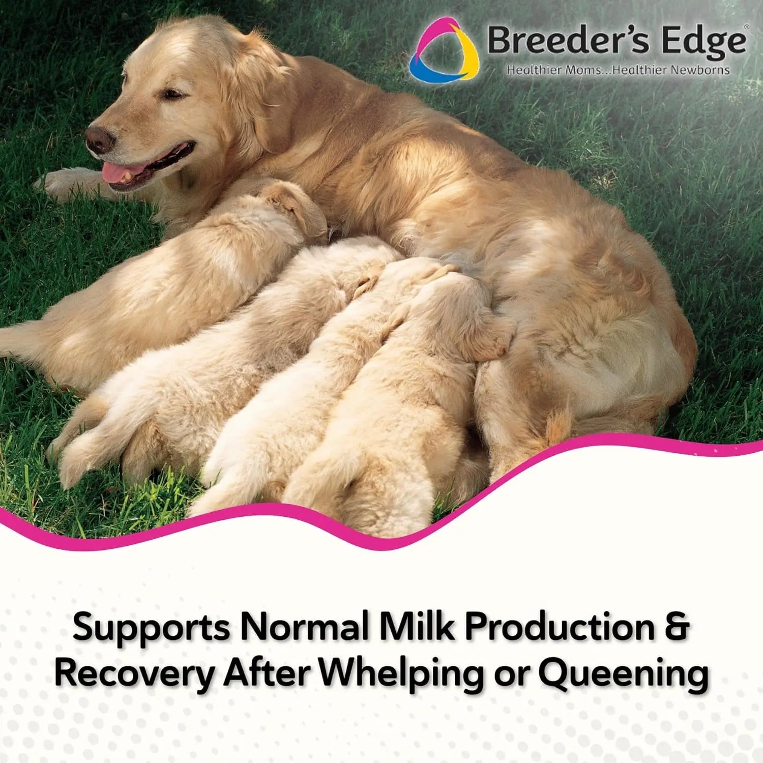 Postnatal Soft Chews for Lactating Dogs & Cats, Breeder Support