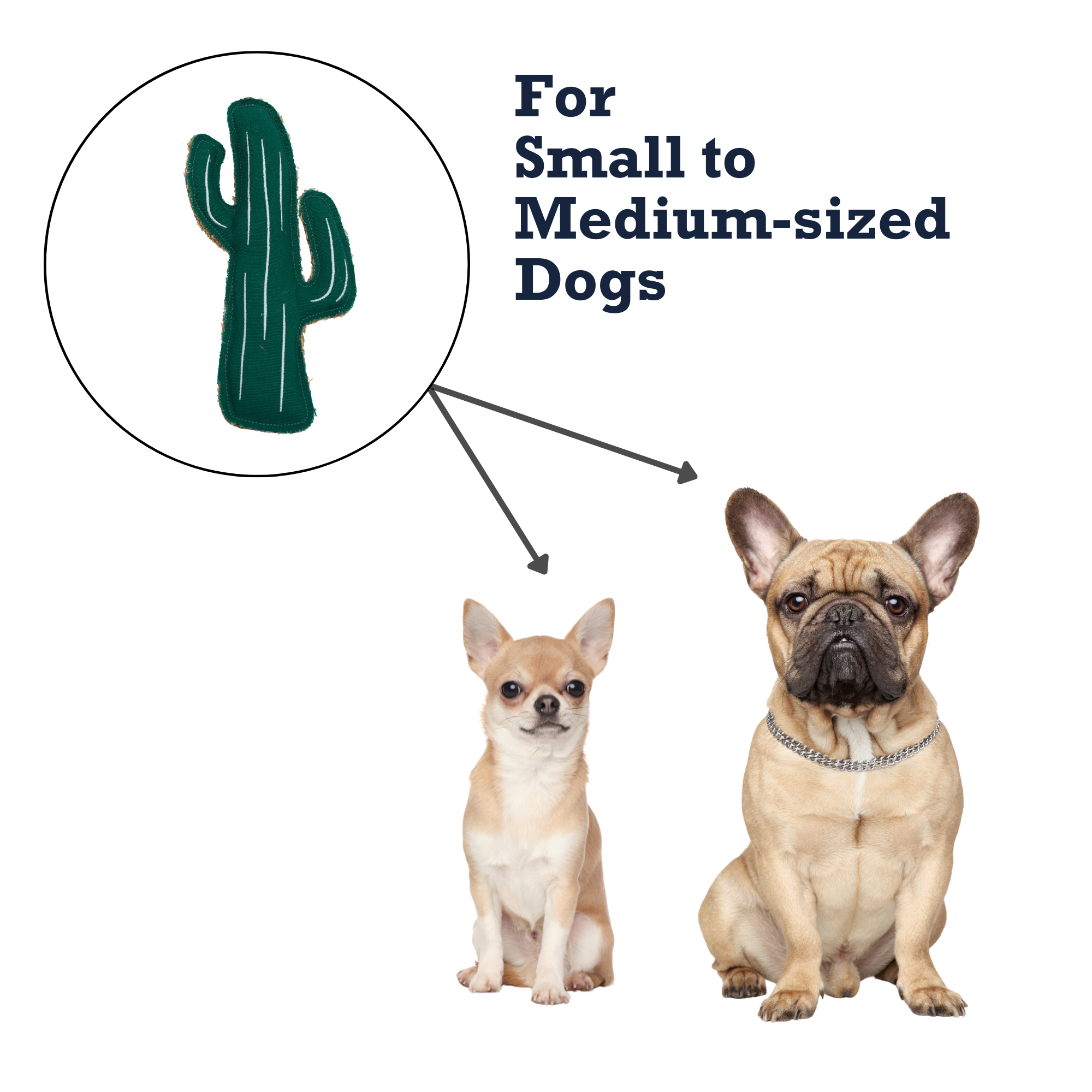 Country Living Canvas & Jute Cactus-Shaped Dog Chew Toy