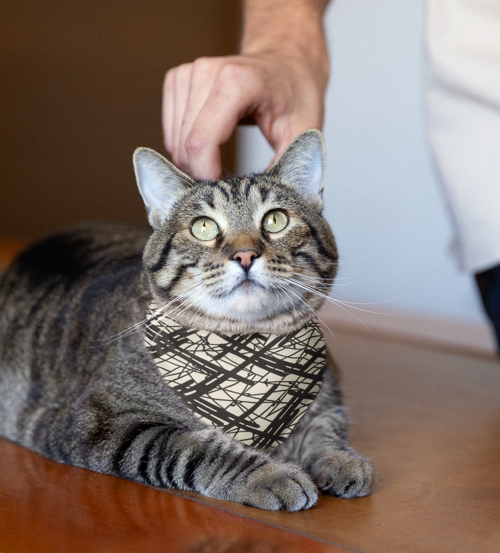 Sebastian & Clementine Vintage Collection Abstract Lines Bandana Collar for Dogs and Cats