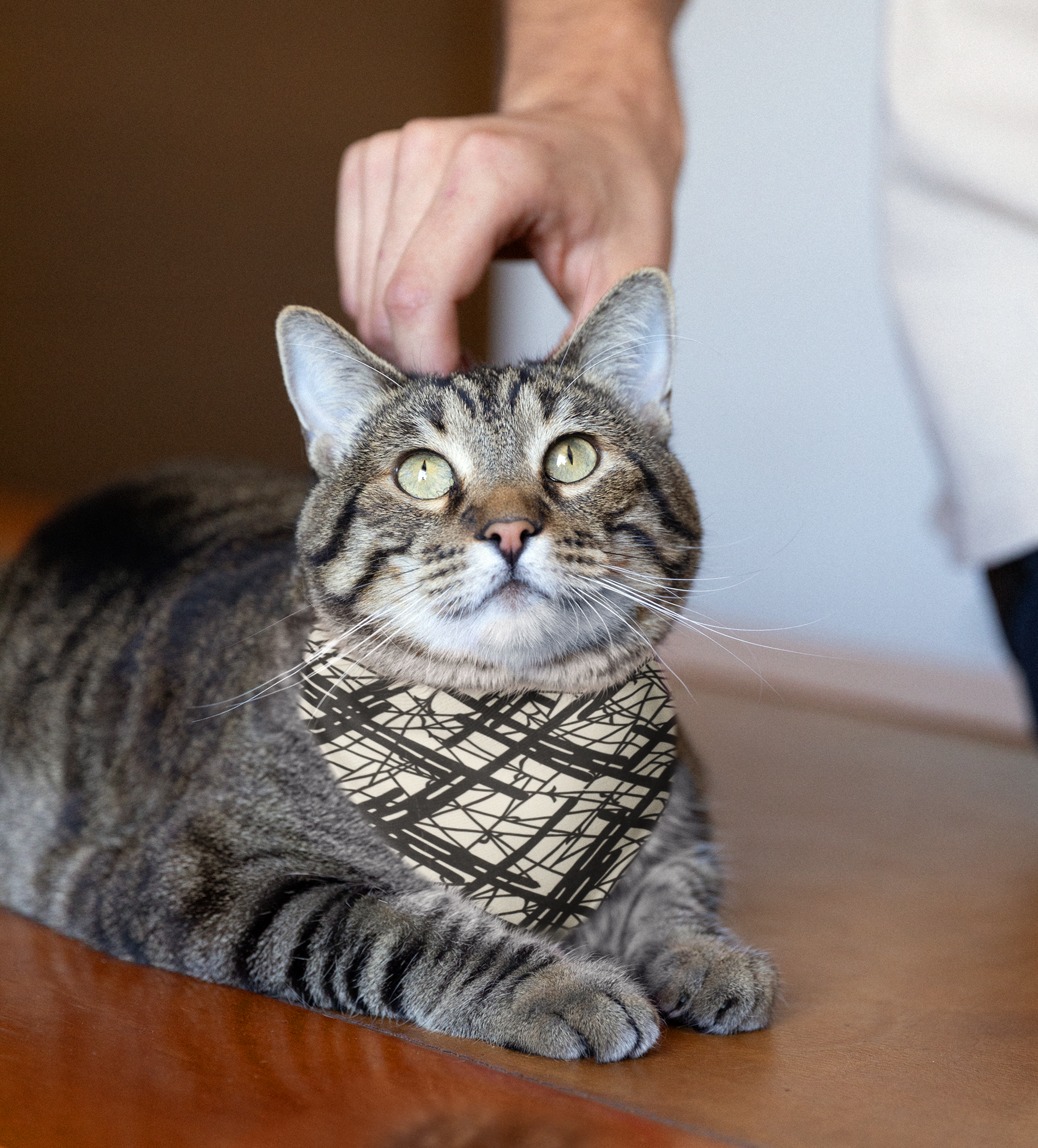 Sebastian & Clementine Vintage Collection Abstract Lines Bandana Collar for Dogs and Cats