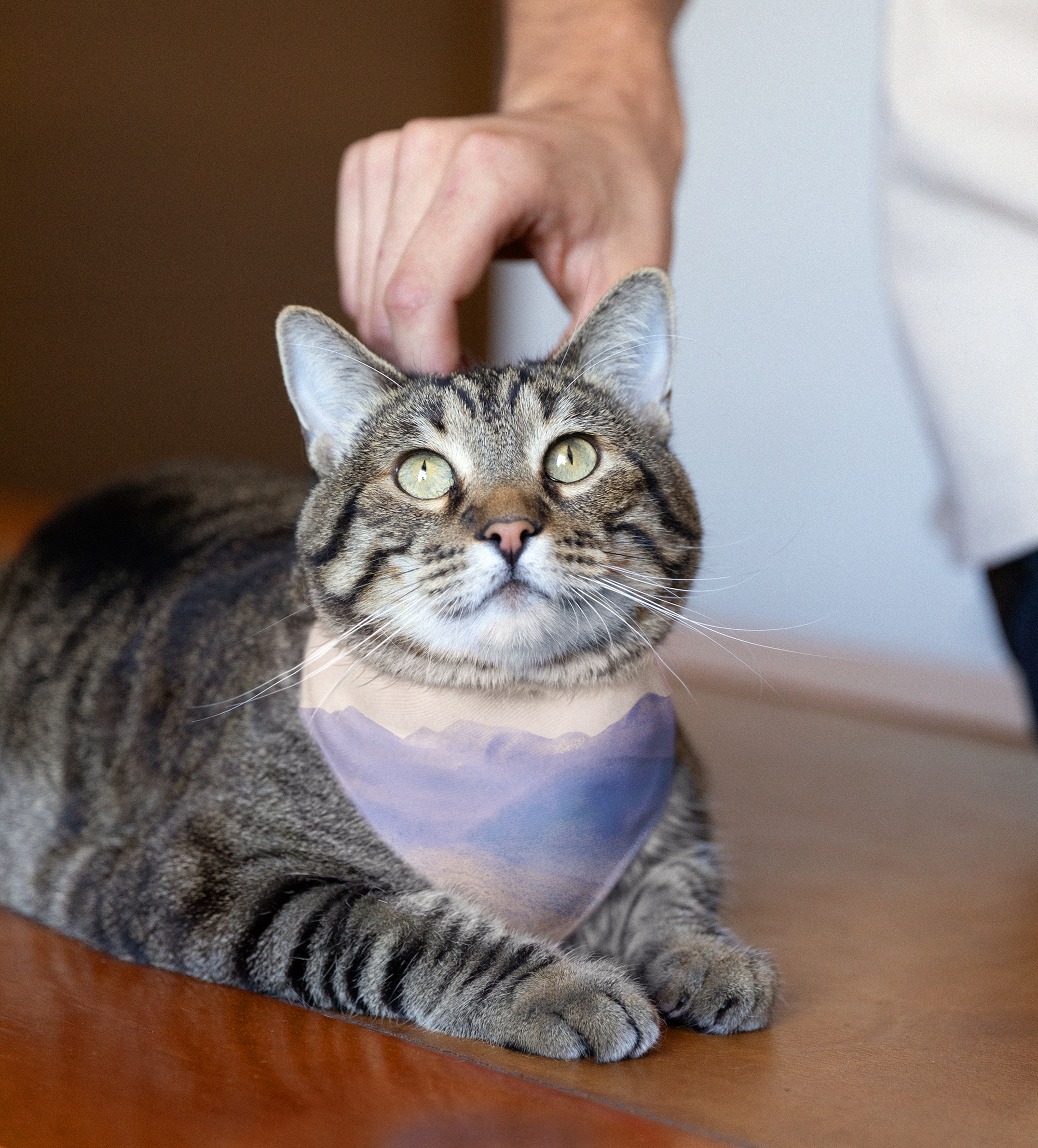 Sebastian & Clementine Vintage Collection Purple Mountains Bandana Collar for Dogs and Cats