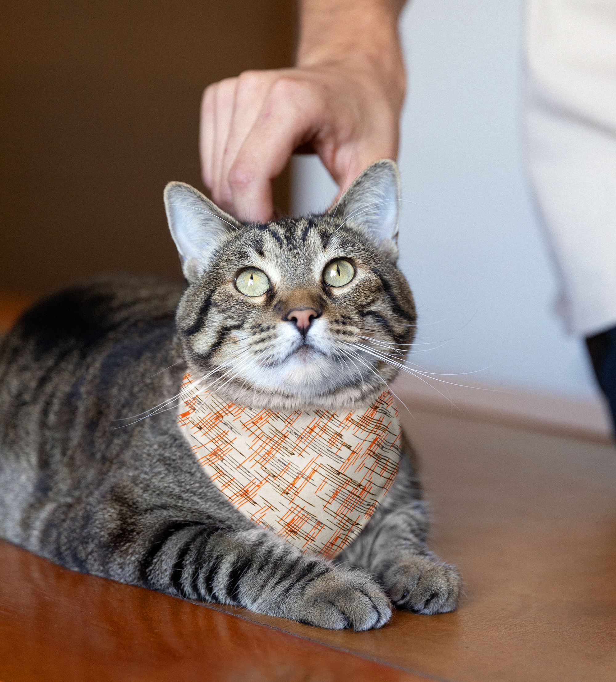 Sebastian & Clementine Vintage Collection Lines Bandana Collar for Dogs and Cats