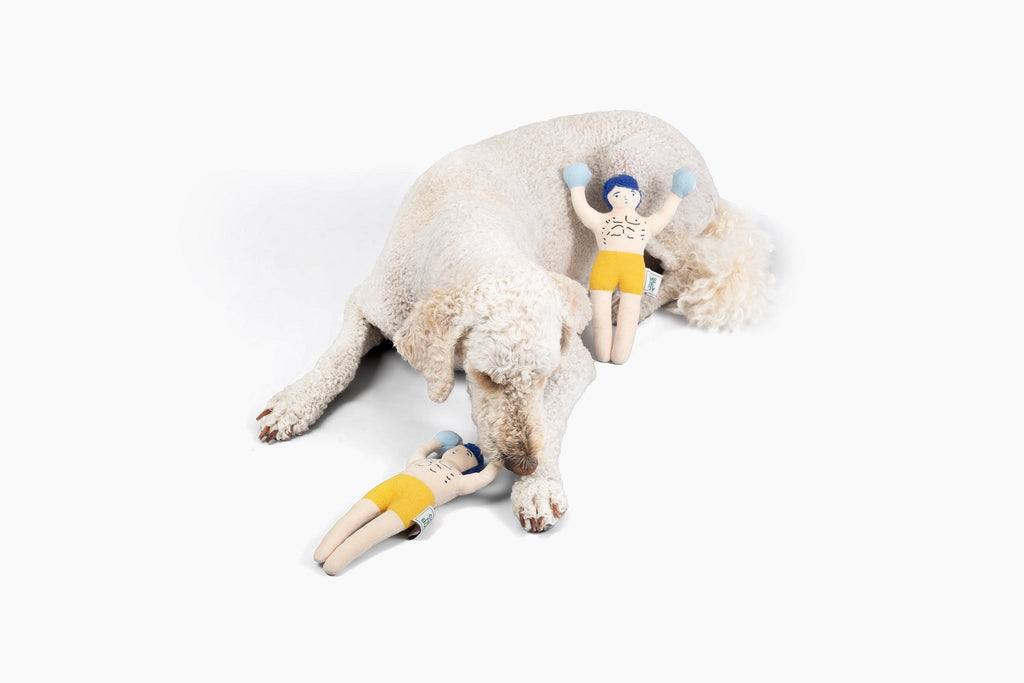 Come Here Buddy Champ Rocky Nose Work Dog Enrichment Toy