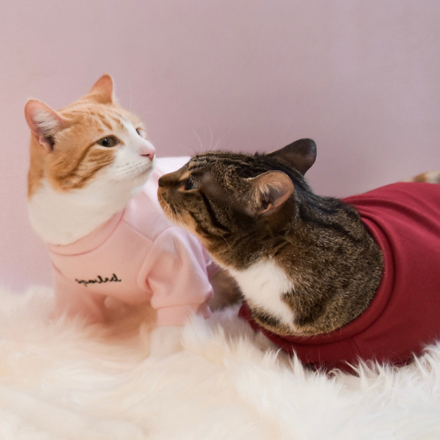 Fur Elise Mock Neck Shirt - Lucky