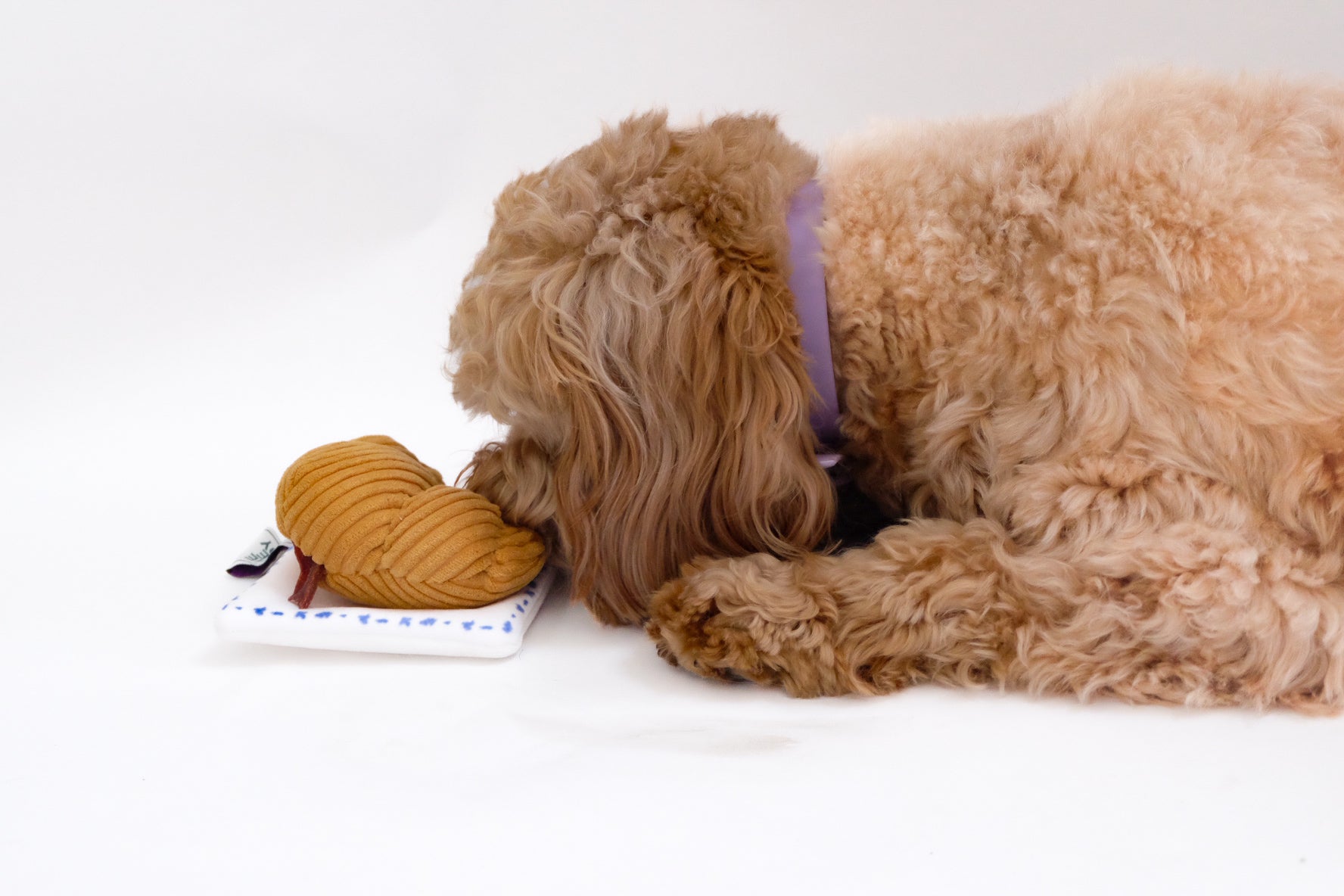 Come Here Buddy Croissant Nose Work Toy / Enrichment Toy