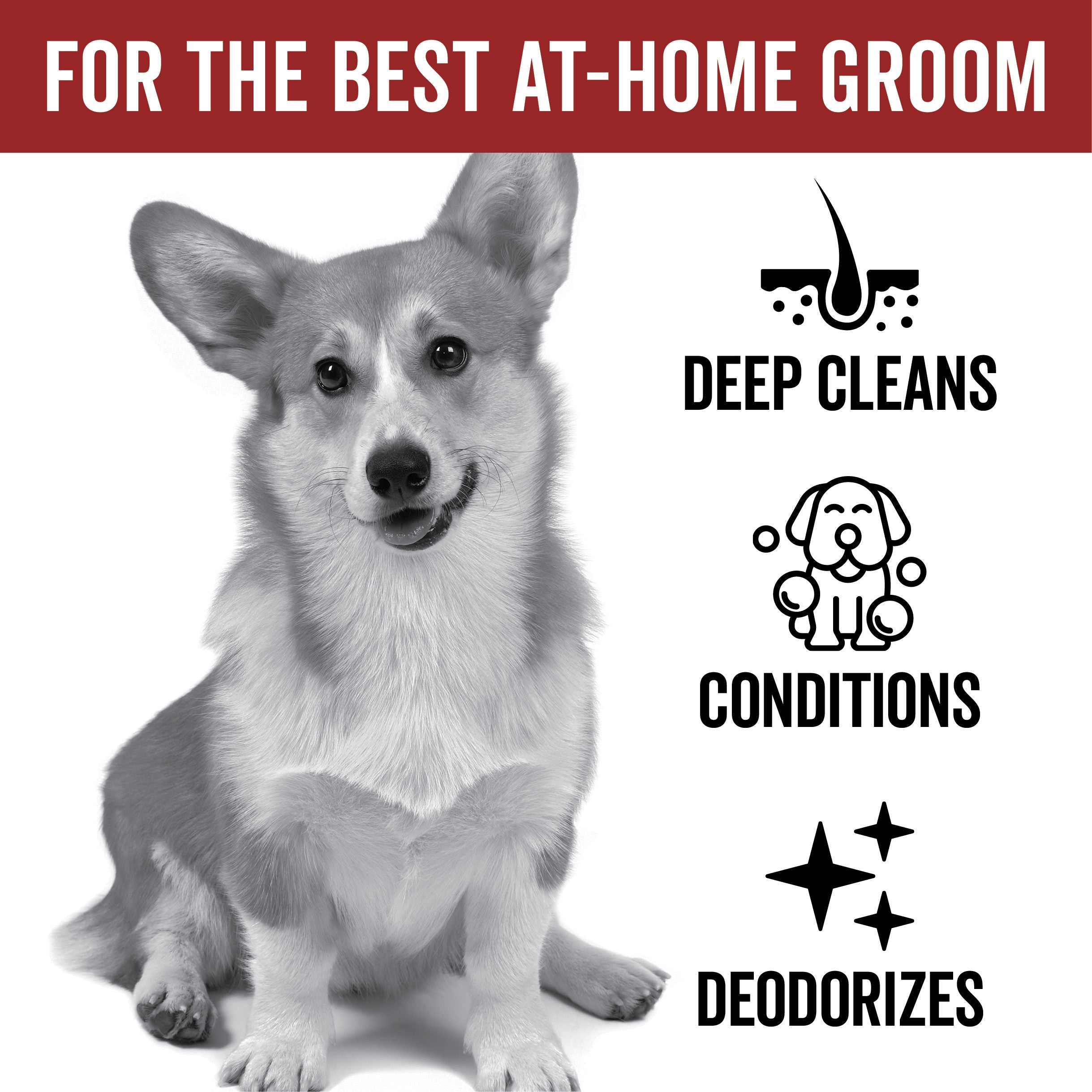 PRIDE + GROOM DOGDAYS Moisturizing Dog Conditioner