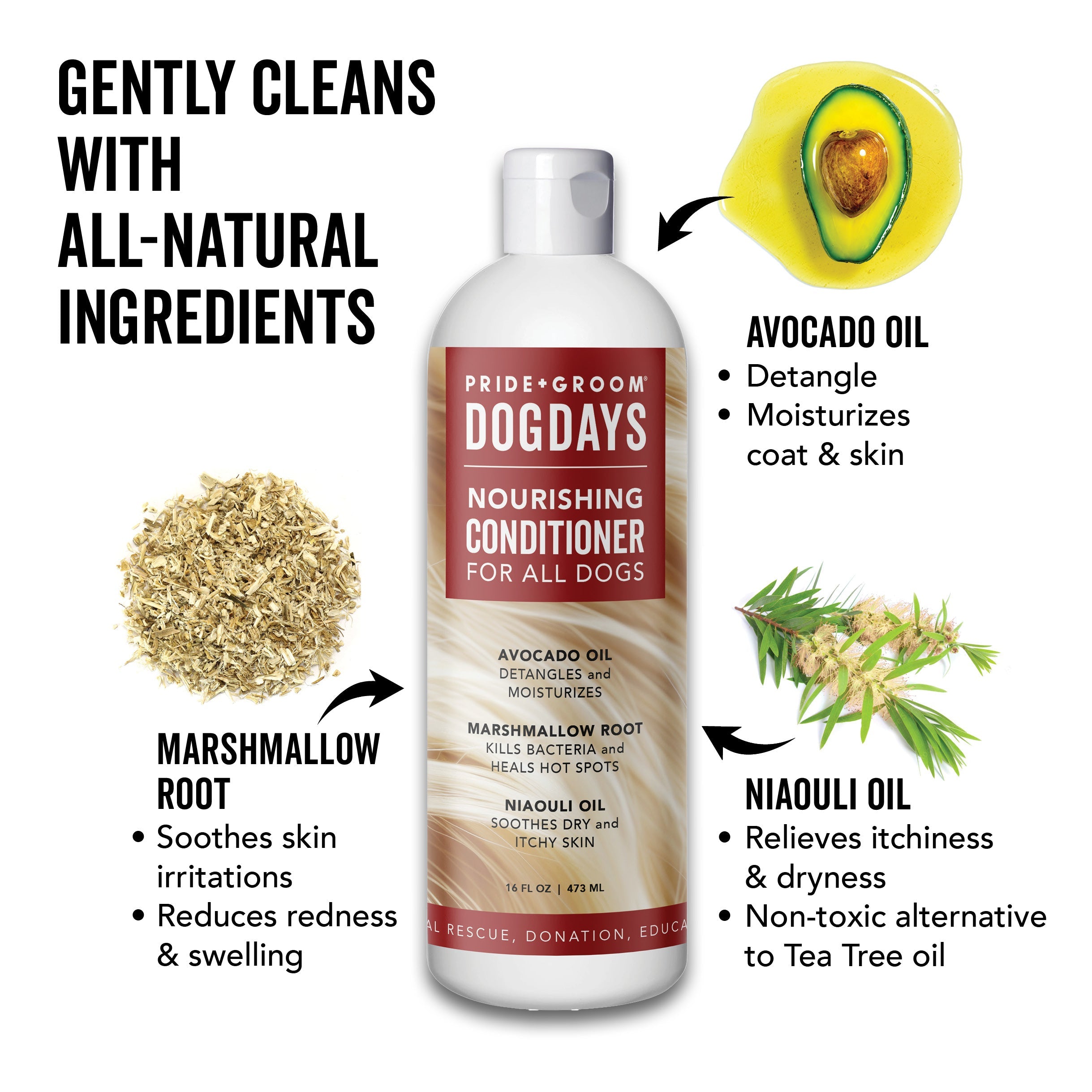 PRIDE + GROOM DOGDAYS Moisturizing Dog Conditioner